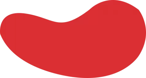 乐鱼体育(中国)官方网站-LEYU SPORTS